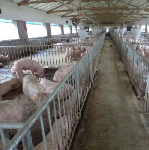 养殖场粪便处理进程过滤应用